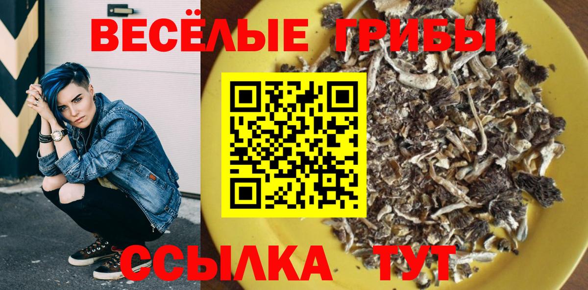 Псилоцибиновые грибы Psilocybine cubensis Менделеевск